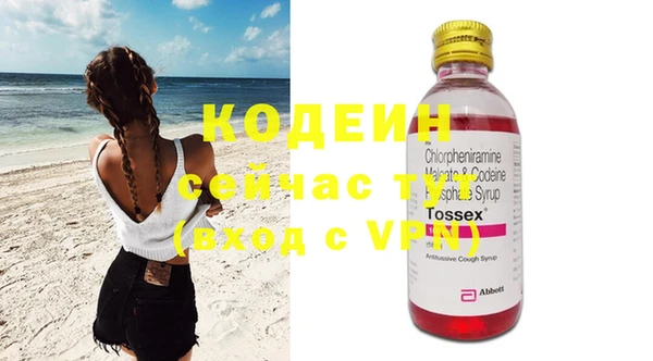 индика Вяземский