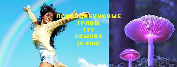 Альфа ПВП Вязники