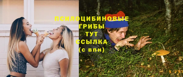 бутират Горняк