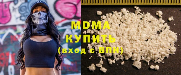индика Вяземский