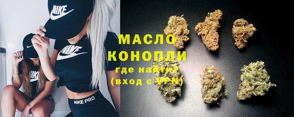индика Вяземский