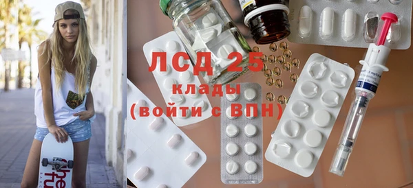 индика Вяземский